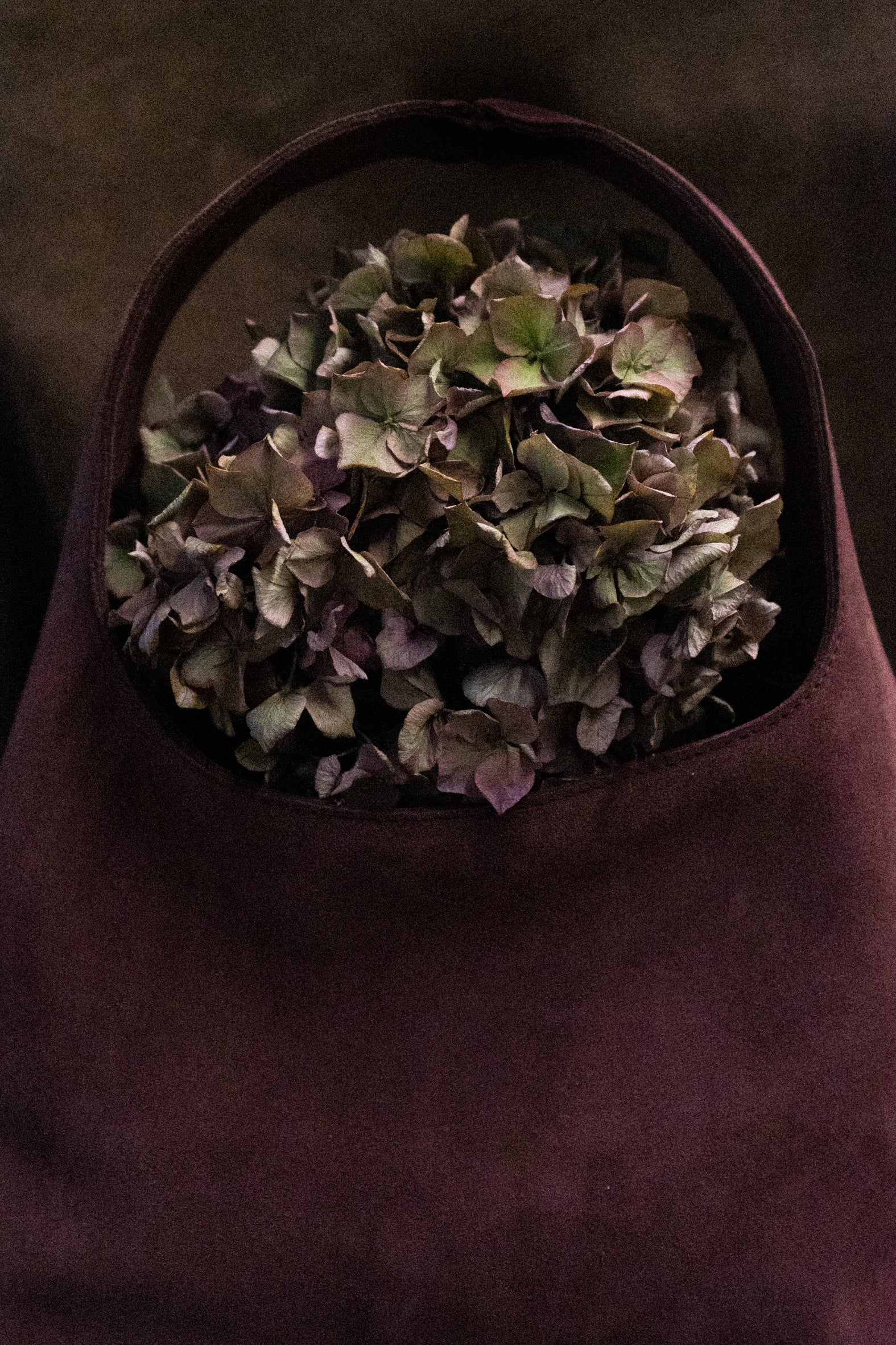 Pian saatavilla TERRA Mini Amarone