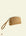 Cookie dough